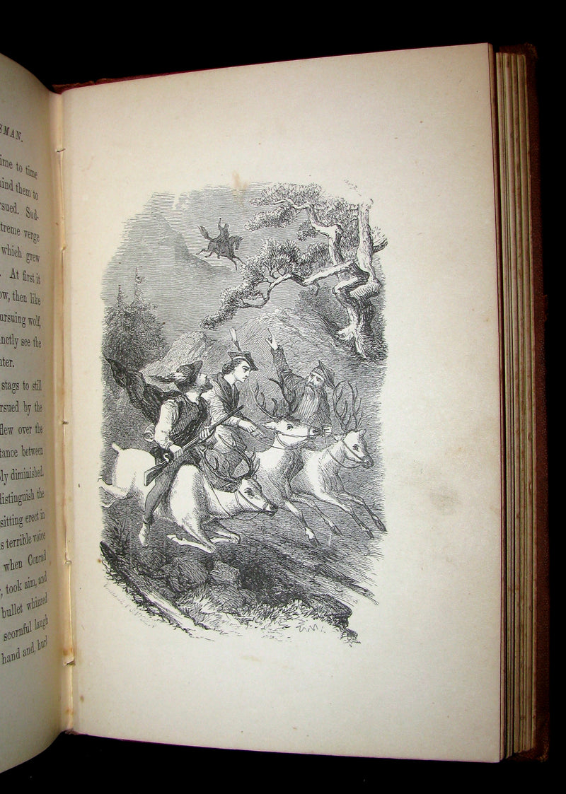 1867 Scarce Victorian Book ~ Seaside and Fireside FAIRIES by Annis Lee Wister. Illustrated.