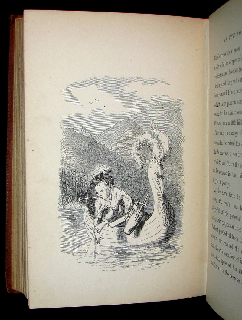 1867 Scarce Victorian Book ~ Seaside and Fireside FAIRIES by Annis Lee Wister. Illustrated.
