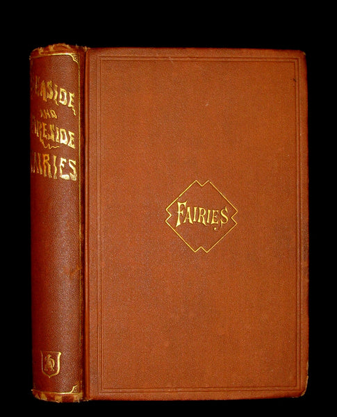 1867 Scarce Victorian Book ~ Seaside and Fireside FAIRIES by Annis Lee Wister. Illustrated.