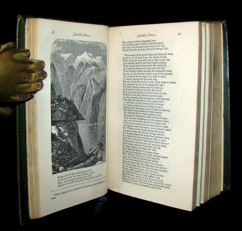 1873 Rare Victorian Book - The Poetical Works of WILLIAM WORDSWORTH illustrated