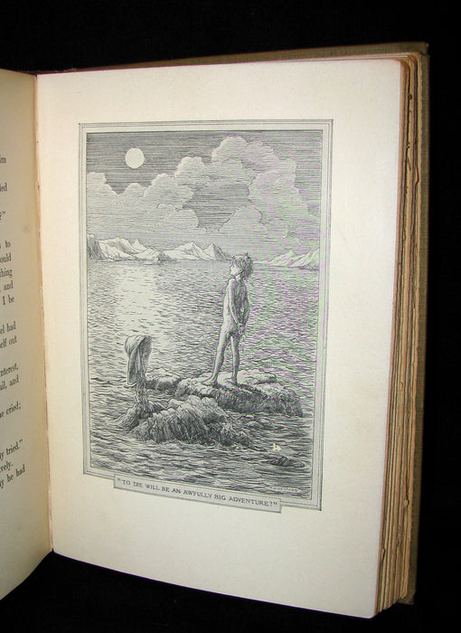 1911 Rare Book  - Peter Pan First Edition - Peter and Wendy by James Matthew Barrie