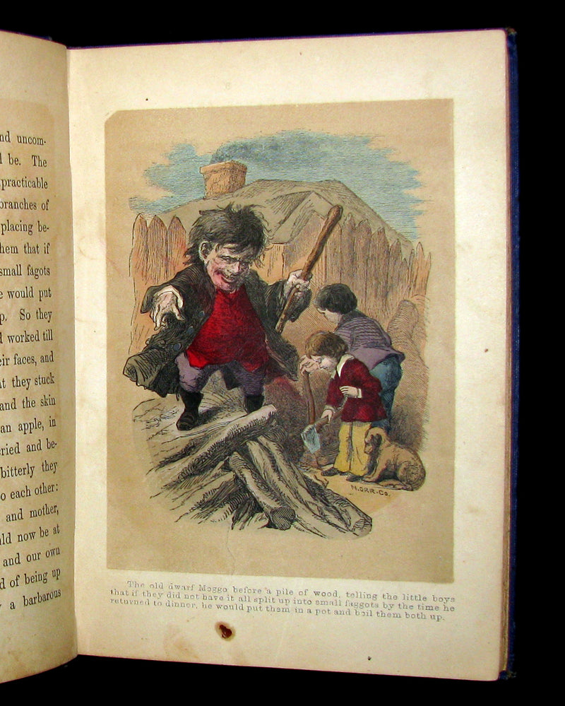 1858 Scarce First Edition - The FAIRIES IN AMERICA by Spencer W. Cone.