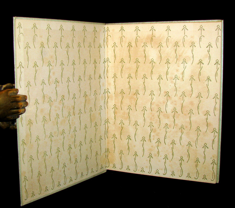 1895 Very Scarce Book - The Story of Zelinda and the Monster; or, Beauty and the Beast.