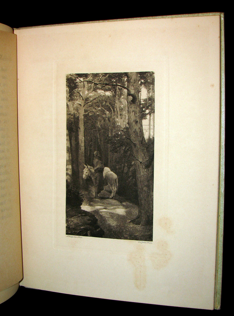 1895 Very Scarce Book - The Story of Zelinda and the Monster; or, Beauty and the Beast.