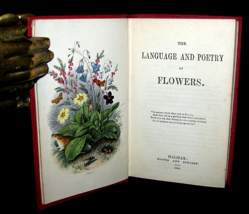 1853 Rare Floriography Book ~ The Language and Poetry of Flowers
