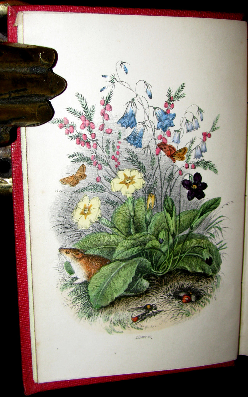 1853 Rare Floriography Book ~ The Language and Poetry of Flowers