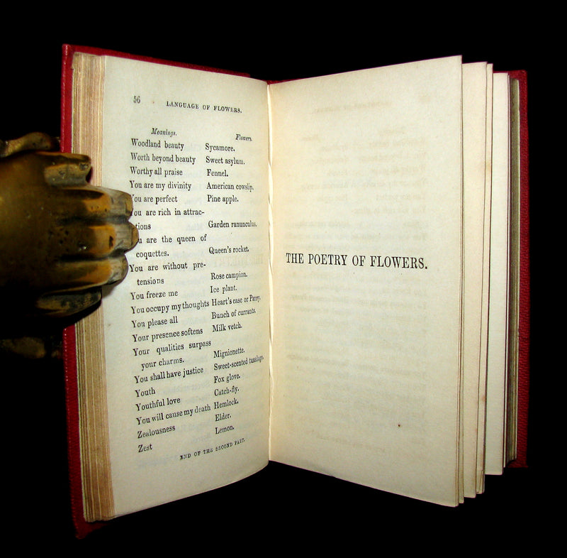 1853 Rare Floriography Book ~ The Language and Poetry of Flowers
