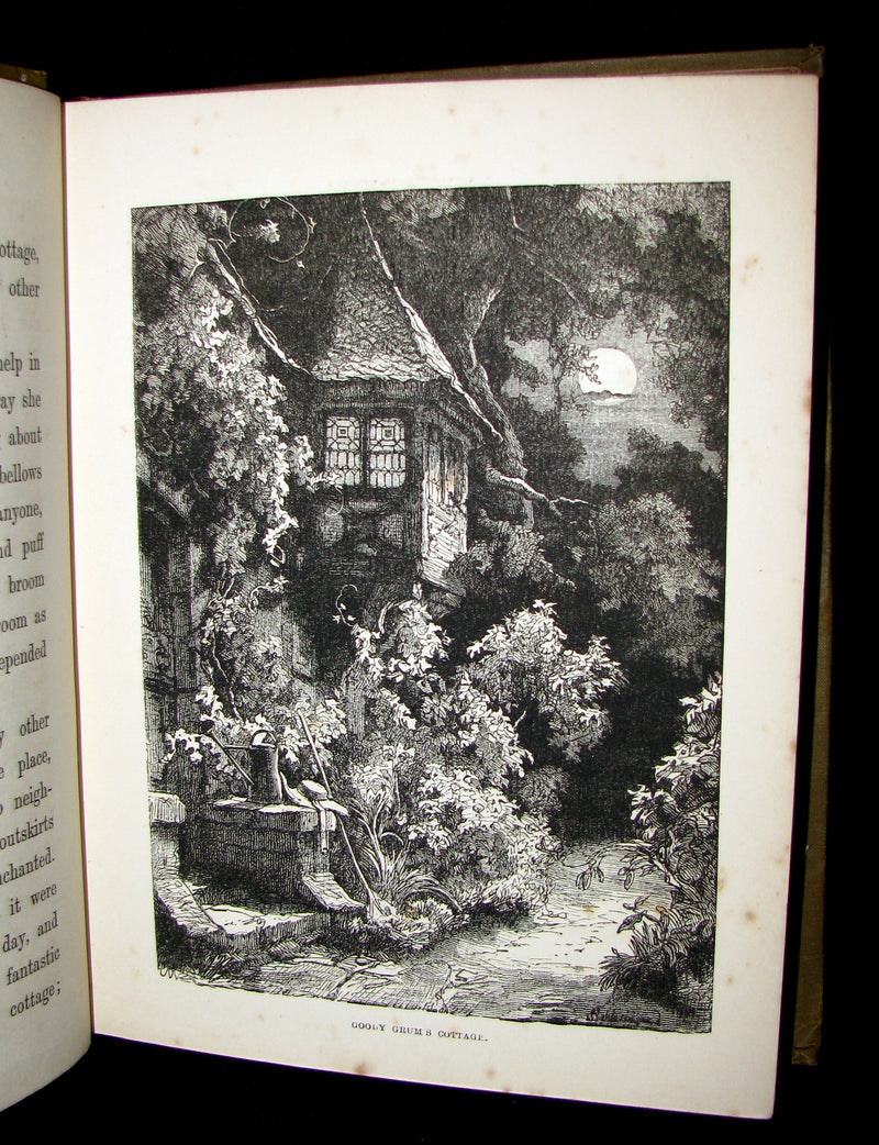 1880 Scarce Victorian Book - Princess Myra And Her Adventures Amongst The Fairy Folk