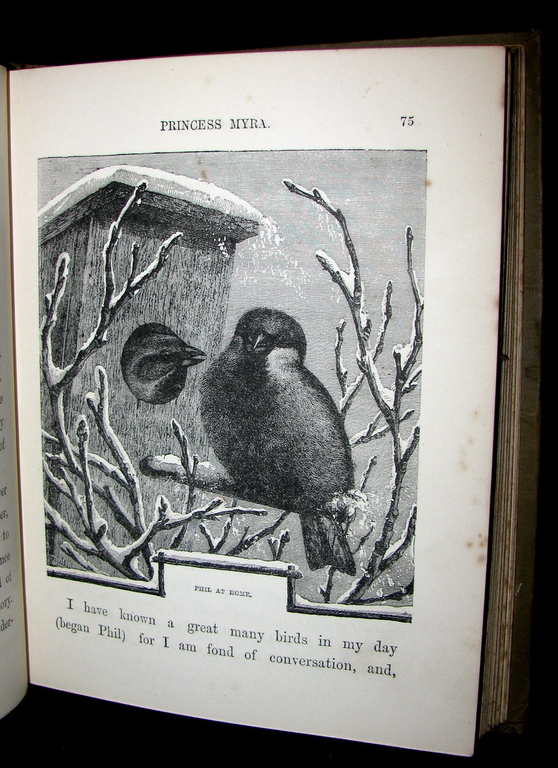 1880 Scarce Victorian Book - Princess Myra And Her Adventures Amongst The Fairy Folk