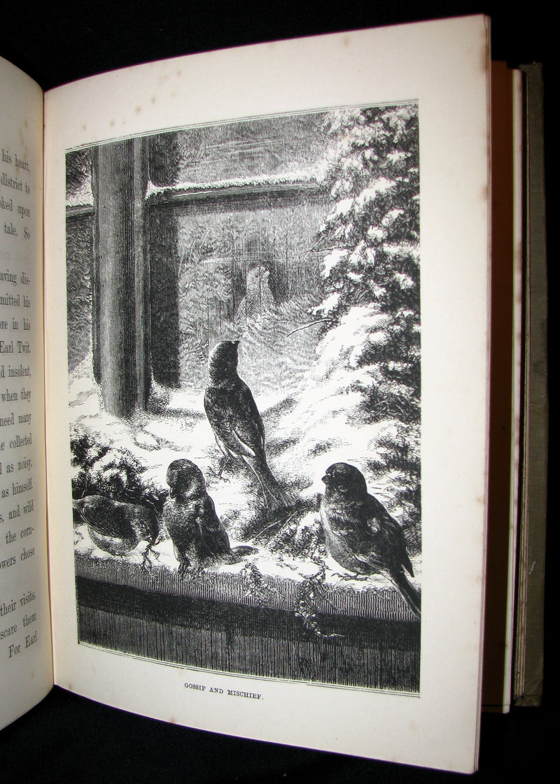 1880 Scarce Victorian Book - Princess Myra And Her Adventures Amongst The Fairy Folk