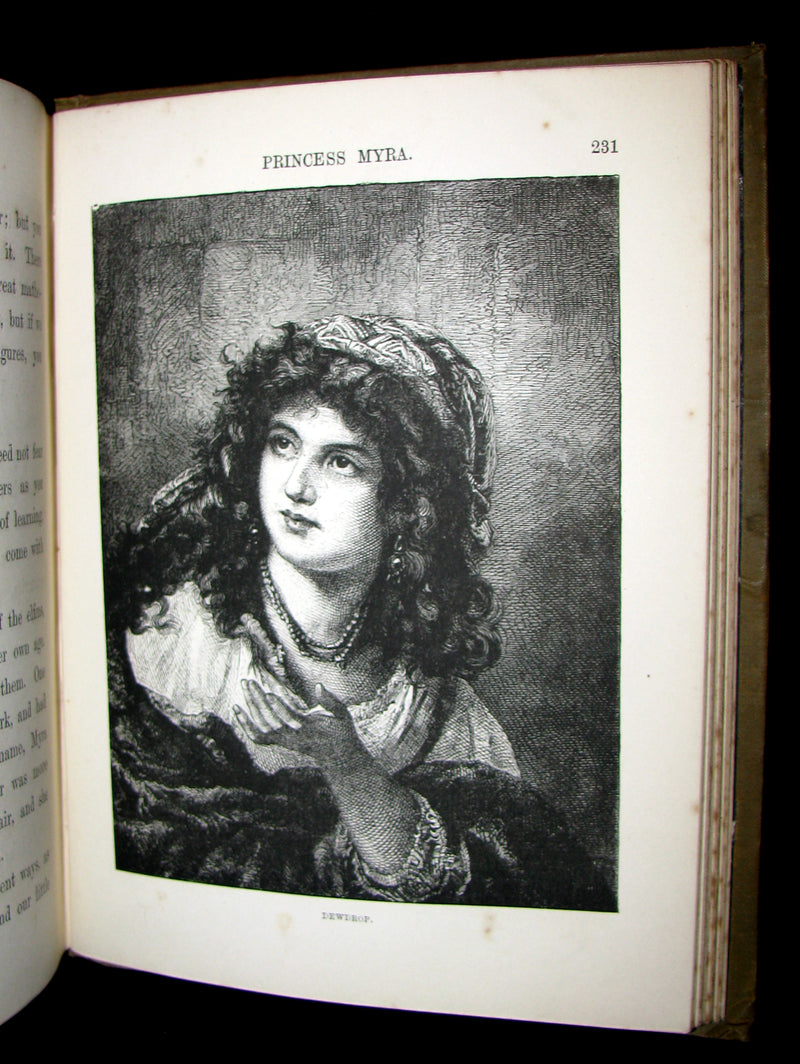 1880 Scarce Victorian Book - Princess Myra And Her Adventures Amongst The Fairy Folk