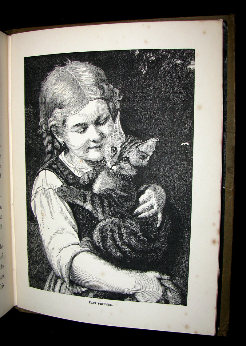 1880 Scarce Victorian Book - Princess Myra And Her Adventures Amongst The Fairy Folk