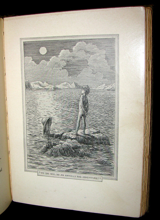 1911 Rare Book  - Peter Pan 1st Edition - Peter and Wendy by James Matthew Barrie