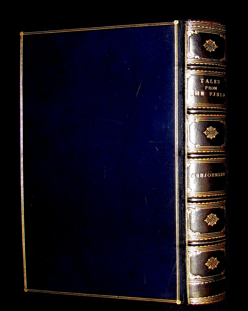 1896 Scarce Book - Tales from the fjeld - Popular Tales from the Norse of P. Ch. Asbjörnsen