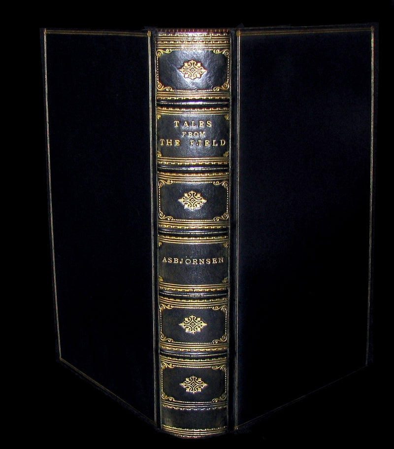 1896 Scarce Book - Tales from the fjeld - Popular Tales from the Norse of P. Ch. Asbjörnsen