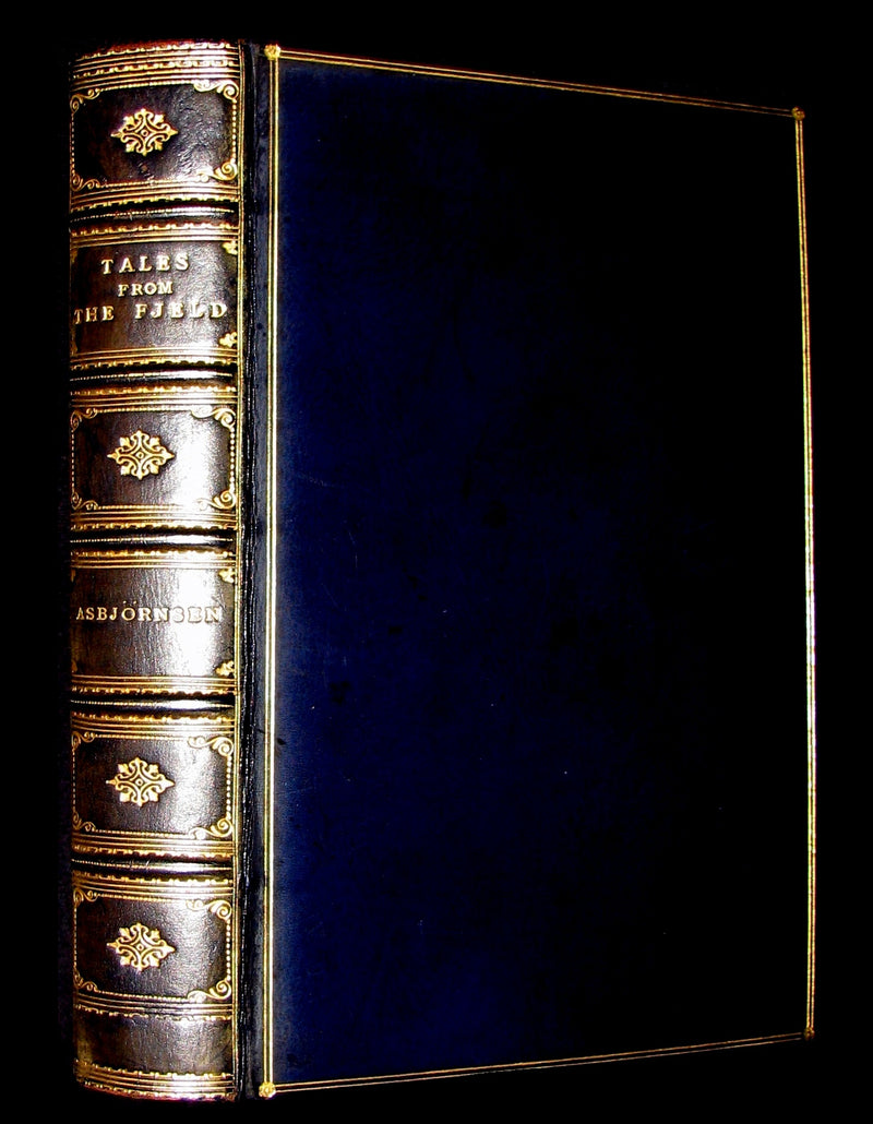 1896 Scarce Book - Tales from the fjeld - Popular Tales from the Norse of P. Ch. Asbjörnsen