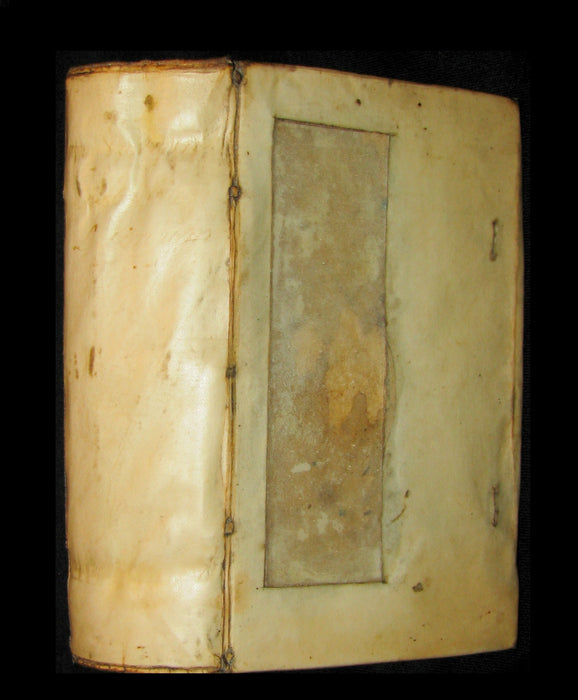 1633 Rare Latin vellum Book - Novum Jesu Christi Testamentum - New Testament - Bible