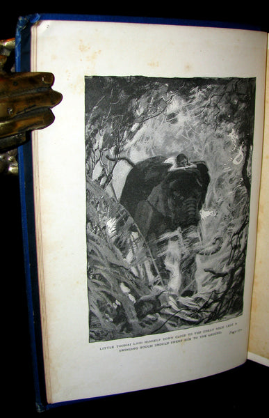 1896 Rare Book - The Jungle Book by Rudyard Kipling -  First Edition, 5th Printing