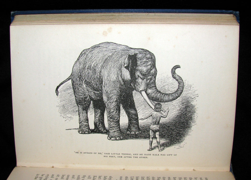 1896 Rare Book - The Jungle Book by Rudyard Kipling -  First Edition, 5th Printing