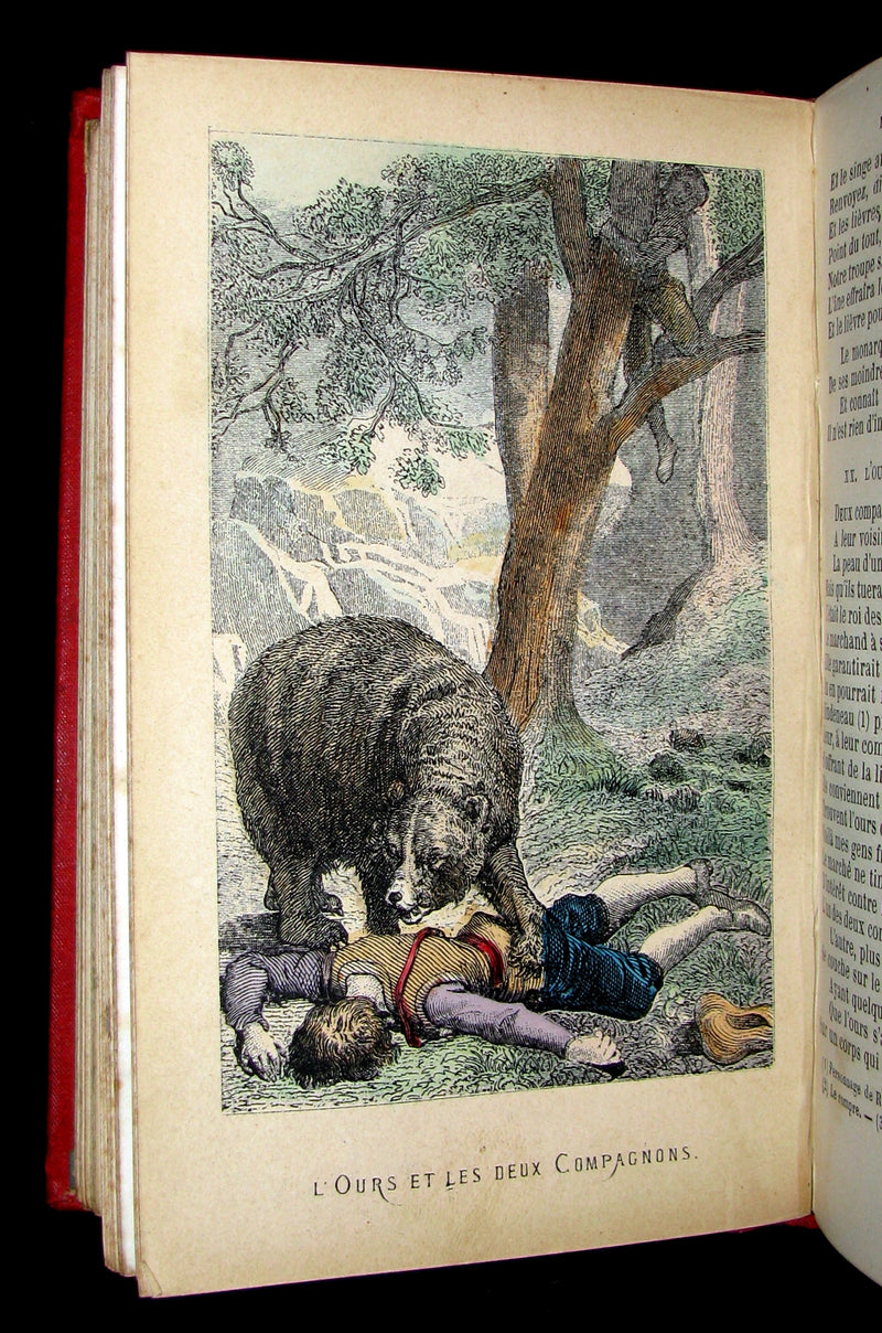 1890 Rare COLOR illustrated French Book ~ FABLES de LA FONTAINE