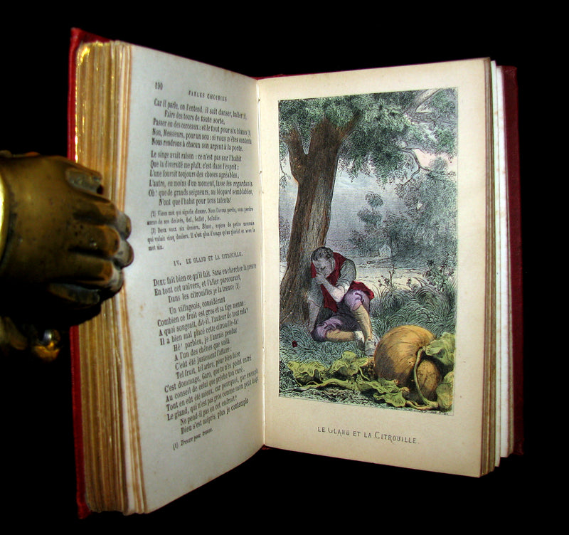 1890 Rare COLOR illustrated French Book ~ FABLES de LA FONTAINE