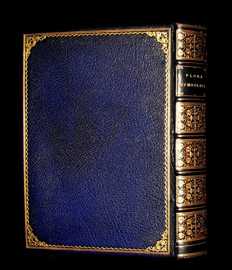 1869 Rare Floriography Book ~ FLORA SYMBOLICA or The language and sentiment of flowers.