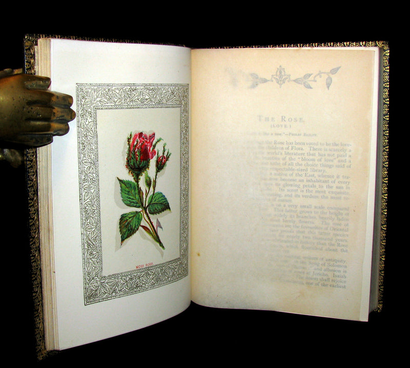 1869 Rare Floriography Book ~ FLORA SYMBOLICA or The language and sentiment of flowers.