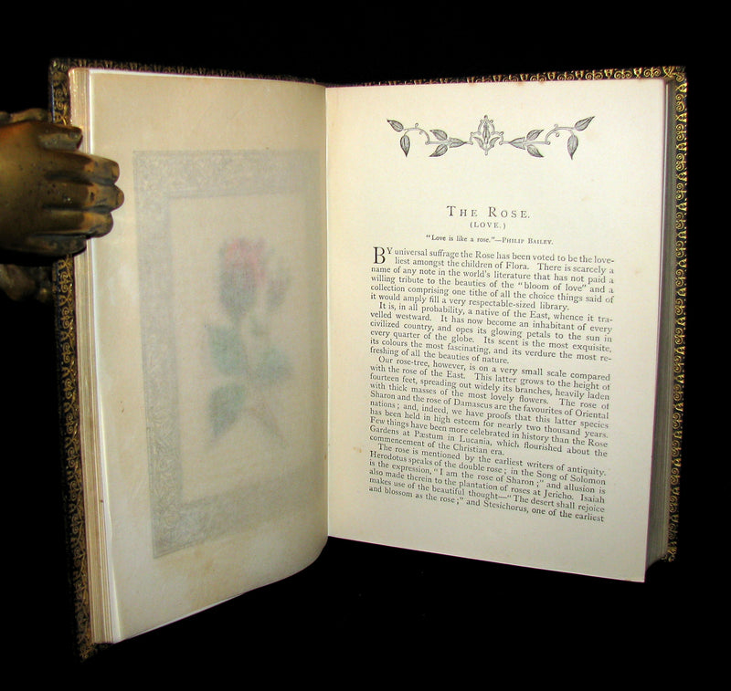 1869 Rare Floriography Book ~ FLORA SYMBOLICA or The language and sentiment of flowers.