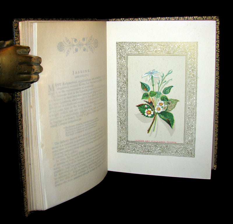 1869 Rare Floriography Book ~ FLORA SYMBOLICA or The language and sentiment of flowers.