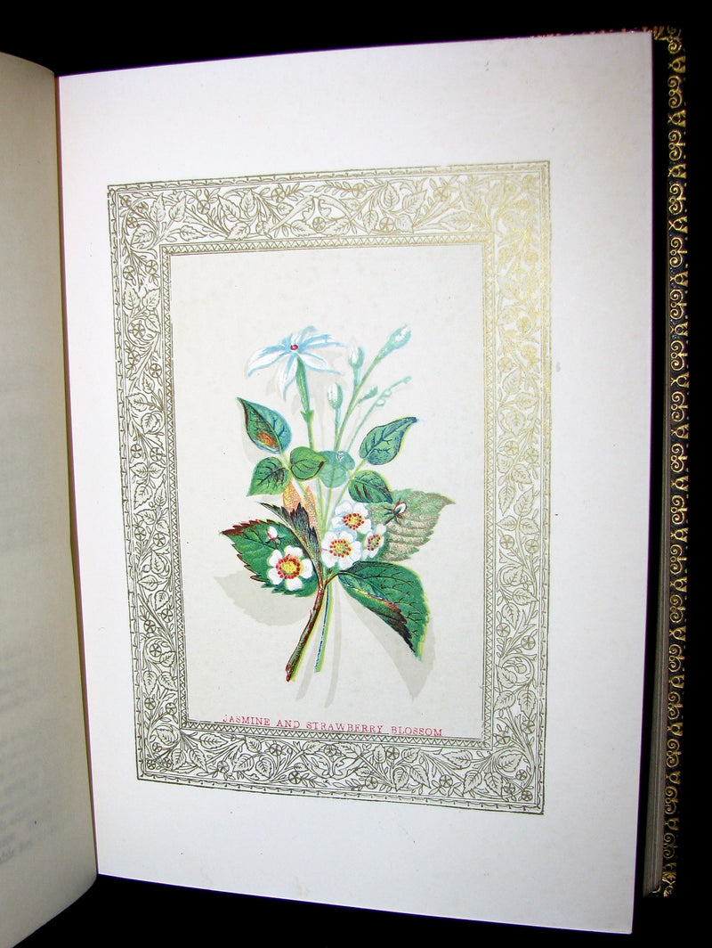 1869 Rare Floriography Book ~ FLORA SYMBOLICA or The language and sentiment of flowers.