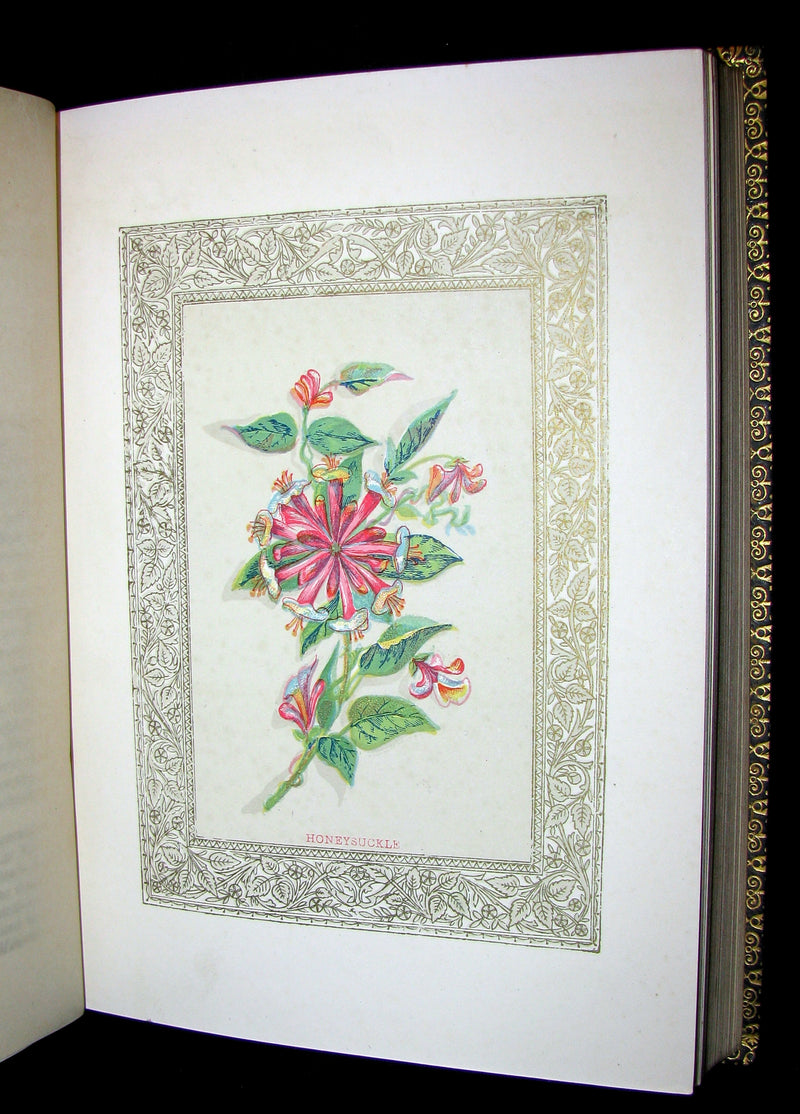 1869 Rare Floriography Book ~ FLORA SYMBOLICA or The language and sentiment of flowers.