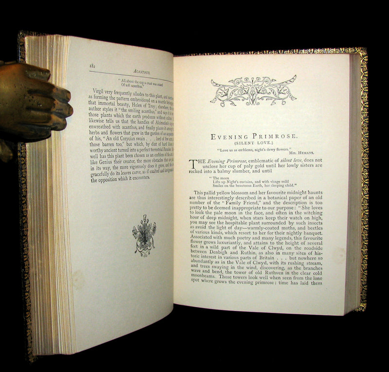 1869 Rare Floriography Book ~ FLORA SYMBOLICA or The language and sentiment of flowers.