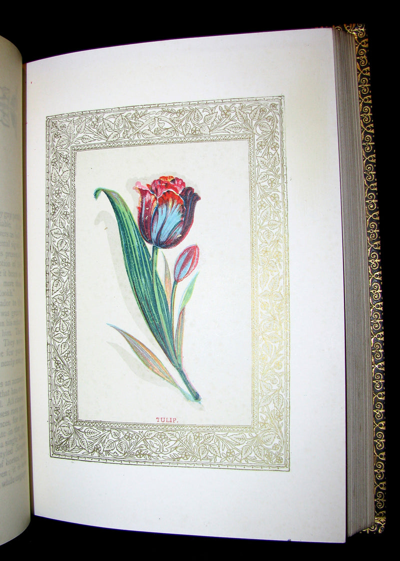 1869 Rare Floriography Book ~ FLORA SYMBOLICA or The language and sentiment of flowers.
