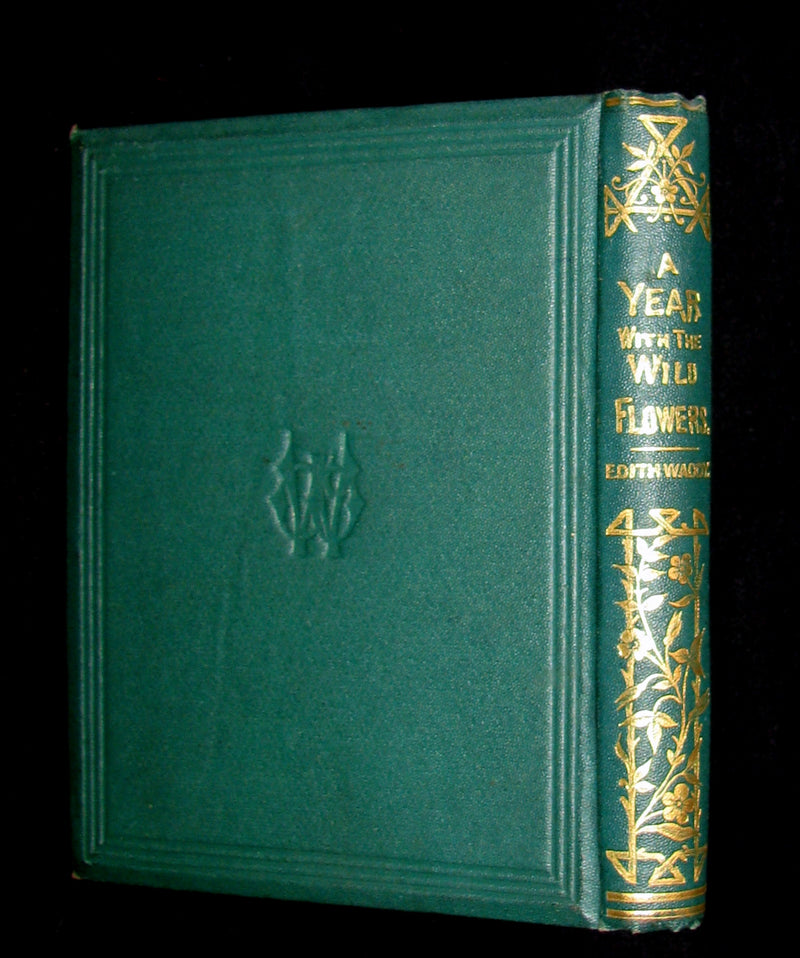 1873 Rare Floriography Book ~ A Year with the Wild Flowers by Edith Waddy. English Botany.