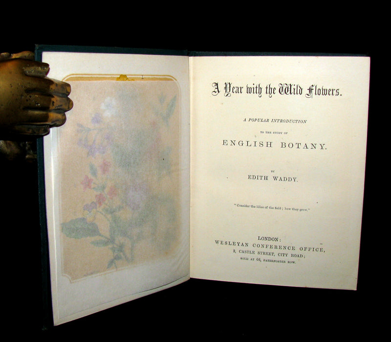 1873 Rare Floriography Book ~ A Year with the Wild Flowers by Edith Waddy. English Botany.