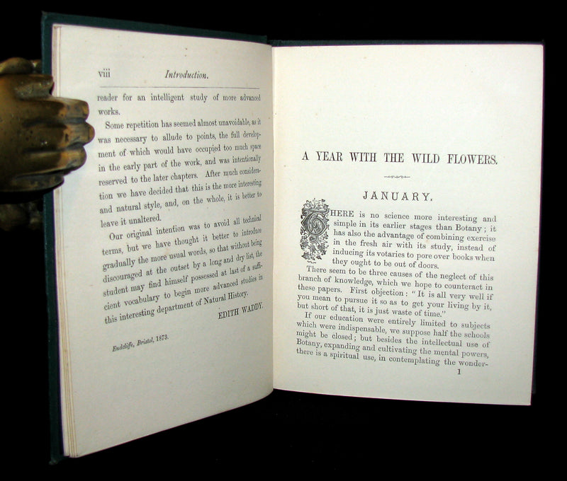 1873 Rare Floriography Book ~ A Year with the Wild Flowers by Edith Waddy. English Botany.