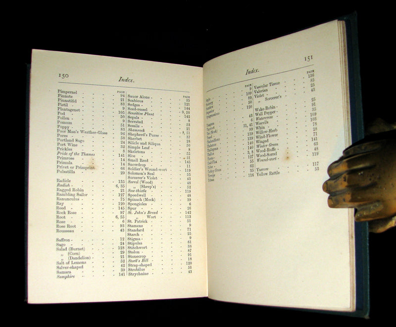 1873 Rare Floriography Book ~ A Year with the Wild Flowers by Edith Waddy. English Botany.