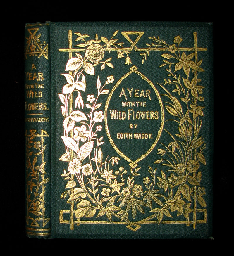 1873 Rare Floriography Book ~ A Year with the Wild Flowers by Edith Waddy. English Botany.
