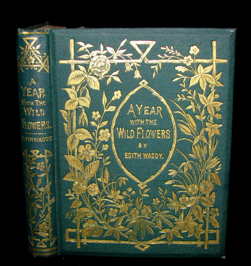 1873 Rare Floriography Book ~ A Year with the Wild Flowers by Edith Waddy. English Botany.