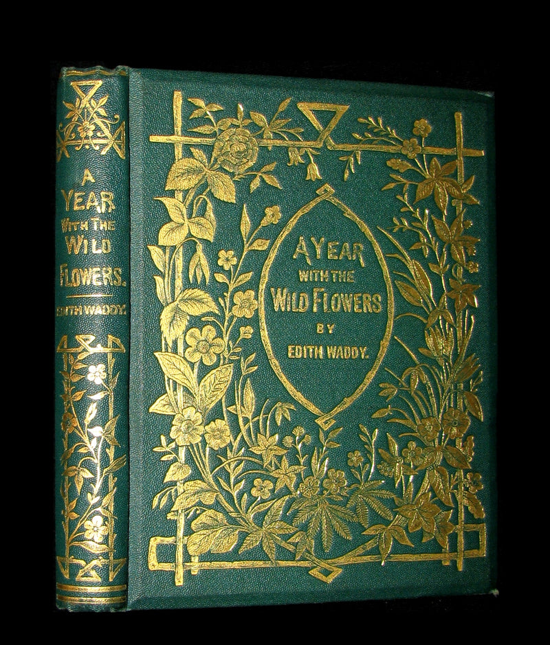 1873 Rare Floriography Book ~ A Year with the Wild Flowers by Edith Waddy. English Botany.