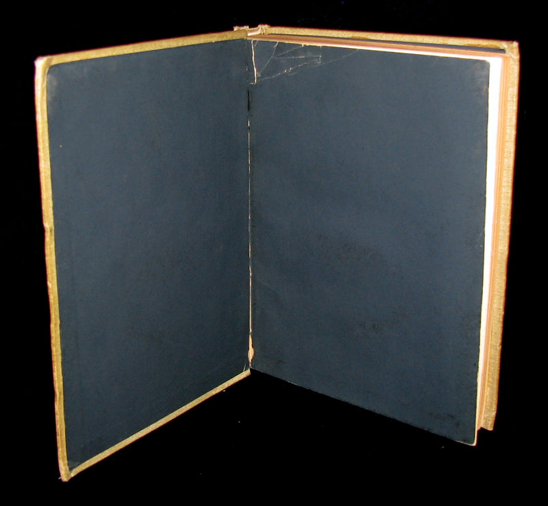 1895 Scarce Victorian Book -  The Fairy-Folk of Blue Hill by Lily F. Wesselhoeft. Illustrated.