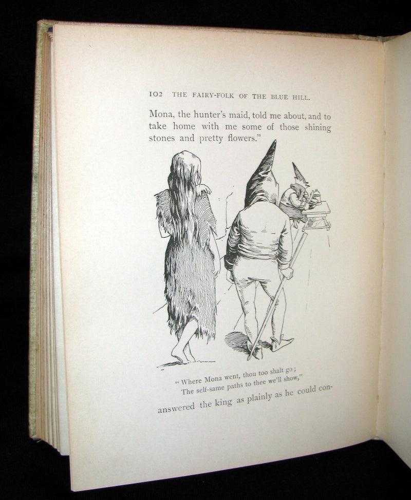 1895 Scarce Victorian Book -  The Fairy-Folk of Blue Hill by Lily F. Wesselhoeft. Illustrated.