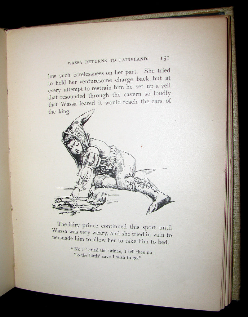 1895 Scarce Victorian Book -  The Fairy-Folk of Blue Hill by Lily F. Wesselhoeft. Illustrated.