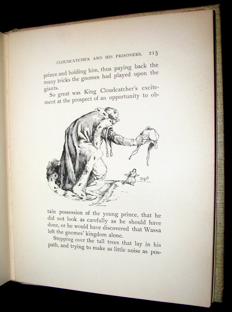 1895 Scarce Victorian Book -  The Fairy-Folk of Blue Hill by Lily F. Wesselhoeft. Illustrated.