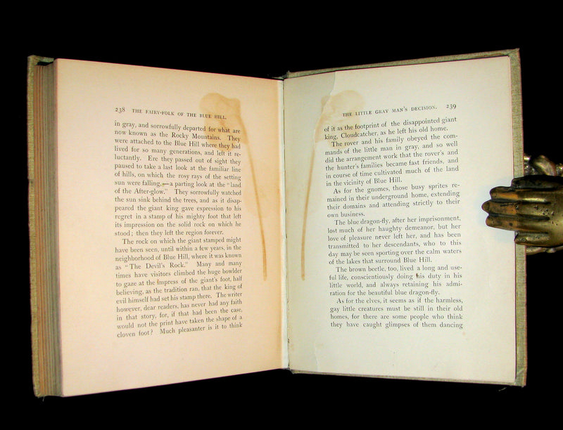 1895 Scarce Victorian Book -  The Fairy-Folk of Blue Hill by Lily F. Wesselhoeft. Illustrated.