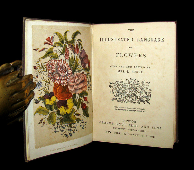 1883 Scarce Floriography  Book ~ The Illustrated Language of Flowers by Mrs L. Burke