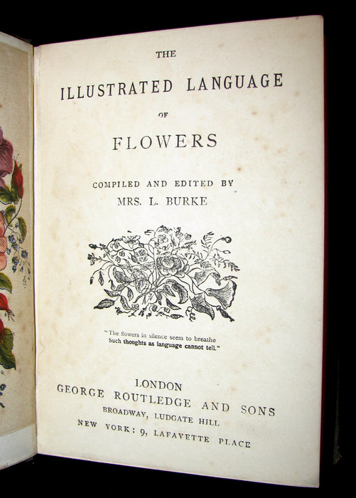 1883 Scarce Floriography  Book ~ The Illustrated Language of Flowers by Mrs L. Burke