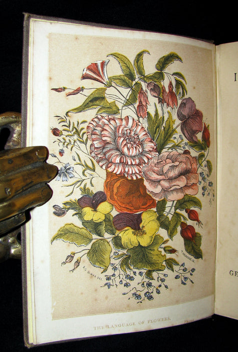 1883 Scarce Floriography  Book ~ The Illustrated Language of Flowers by Mrs L. Burke