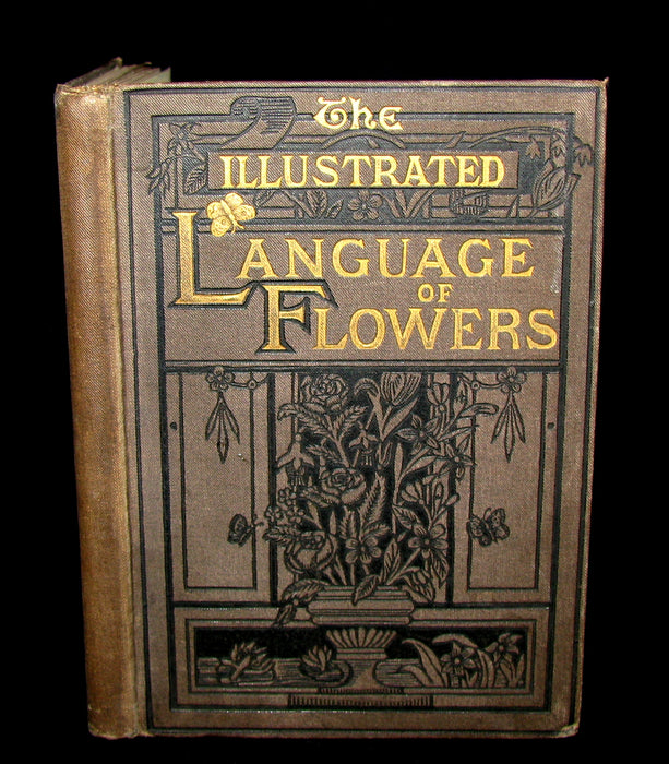 1883 Scarce Floriography  Book ~ The Illustrated Language of Flowers by Mrs L. Burke