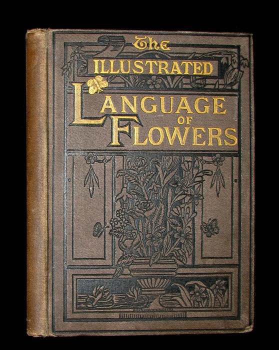 1883 Scarce Floriography  Book ~ The Illustrated Language of Flowers by Mrs L. Burke